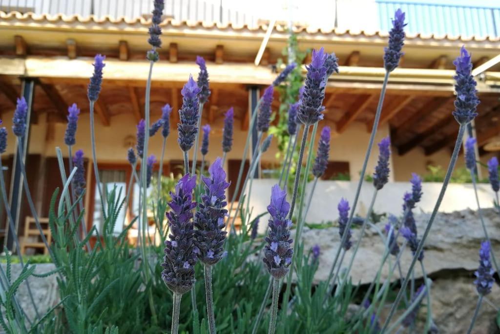Finca Rural S'Estepa Palma de Mallorca Ngoại thất bức ảnh
