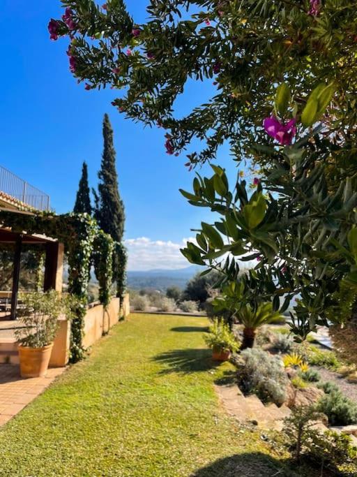 Finca Rural S'Estepa Palma de Mallorca Ngoại thất bức ảnh