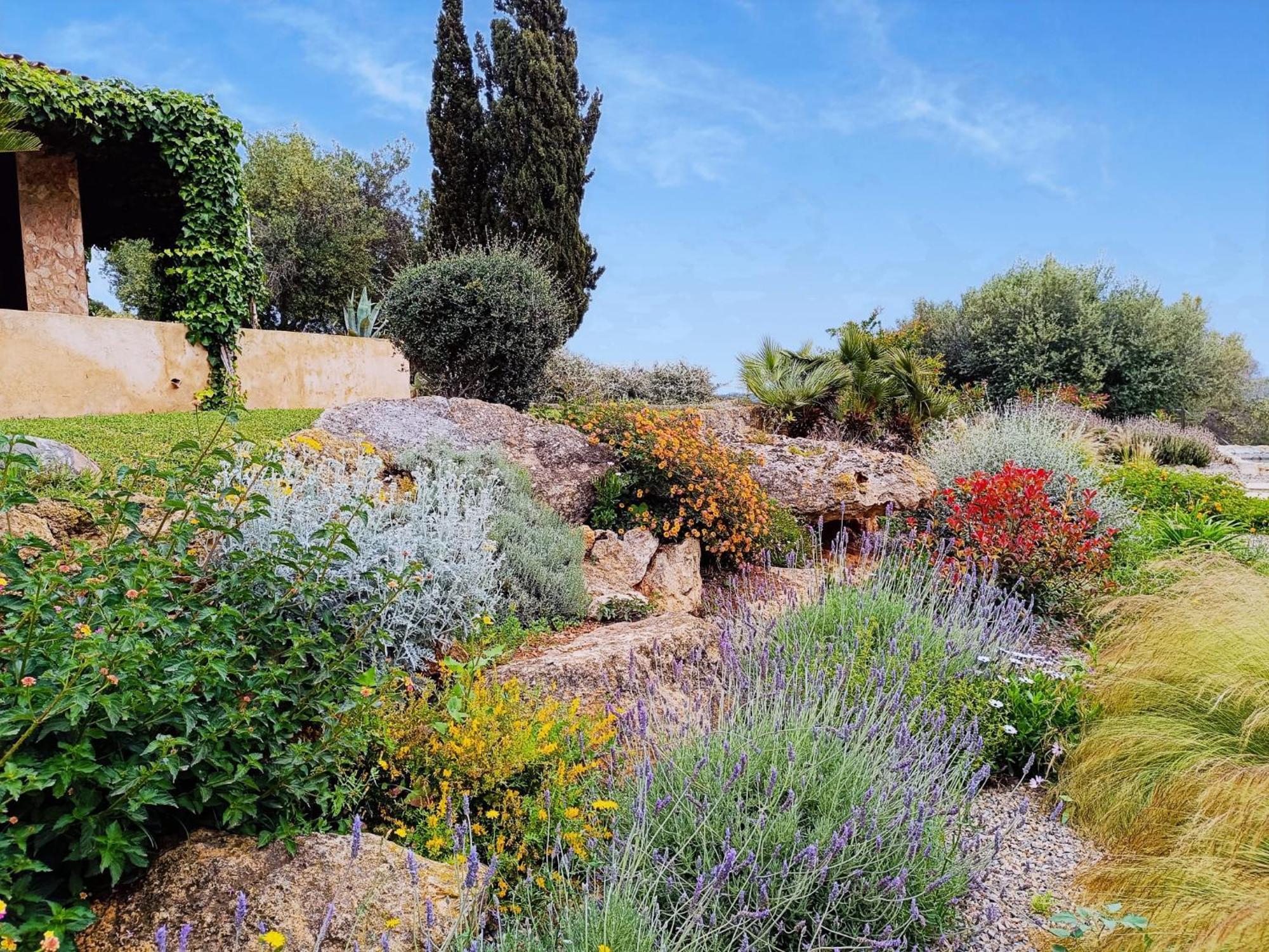 Finca Rural S'Estepa Palma de Mallorca Ngoại thất bức ảnh